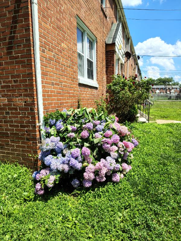 Apartment for rent at 2135 Seneca Rd #B, Wilmington, DE 19805