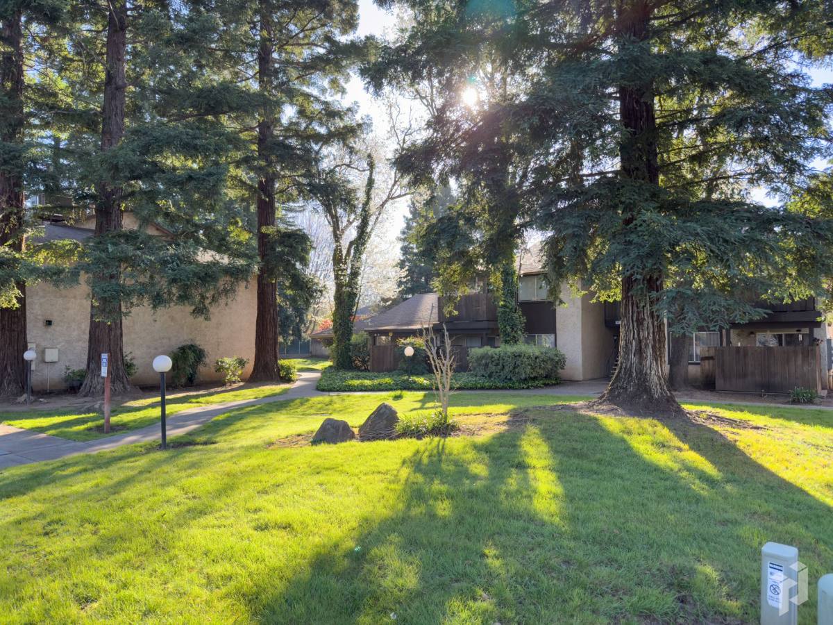 Apartment for rent at 711 W E Ave, Chico, CA 95926