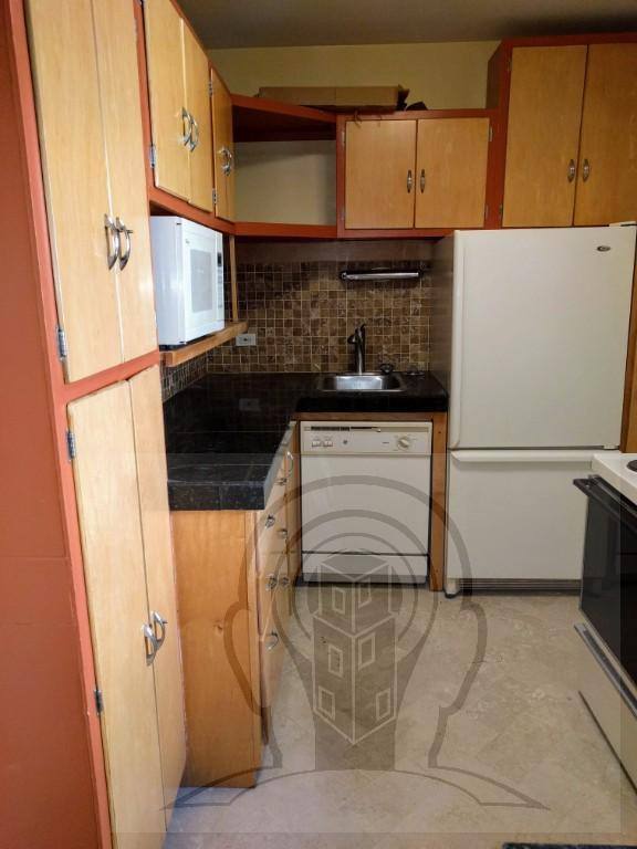 Condo for rent at 5040 Ave N #7A, Chicago, IL 60640