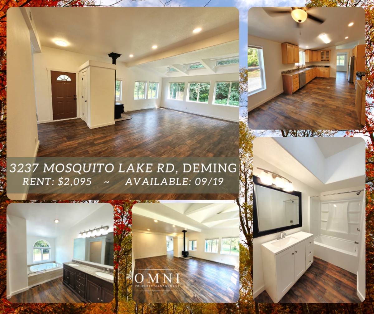 House for rent at 3237 Mosquito Lake Rd, Deming, WA 98244