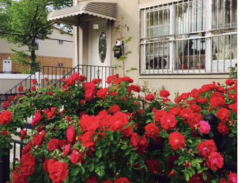 Apartment for rent at 108 Union Hall St #1, Jamaica, NY 11433