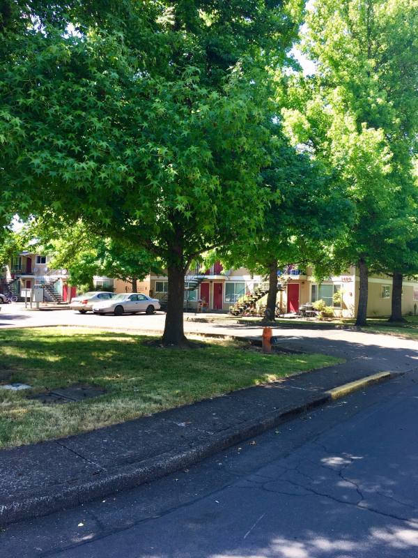 Apartment for rent at 1430-1460 NW Division St #2, Corvallis, OR 97330