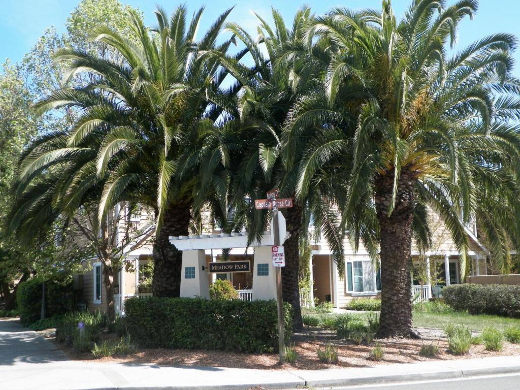 Townhouse for rent at 191 Captain Nurse Circle, Novato, CA 94949