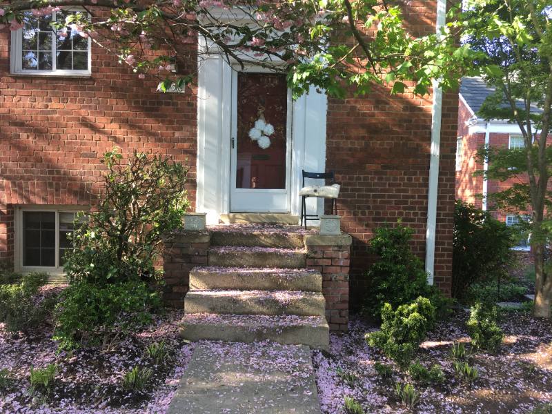 Townhouse for rent at 3408 Gunston Rd, Alexandria, VA 22302