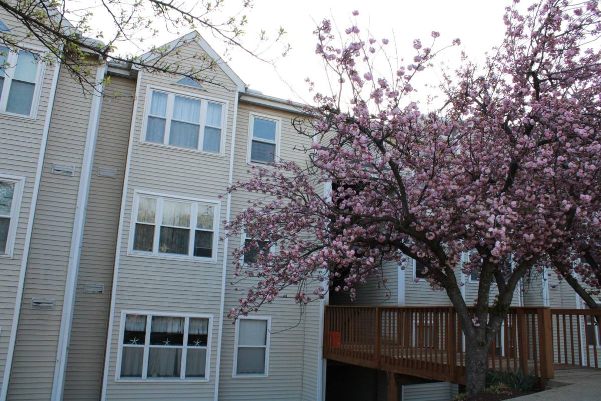 Apartment for rent at 20 Deer Run Court, Halethorpe, MD 21227