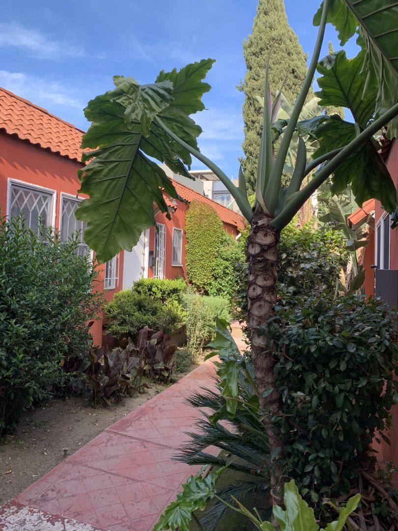 Apartment for rent at 1227 N Fairfax, Los Angeles, CA 90046