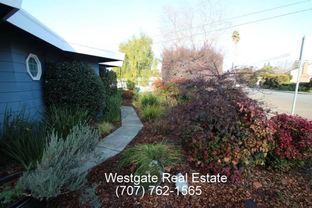 House for rent at 1100 Mountain View Ave, Petaluma, CA 94952