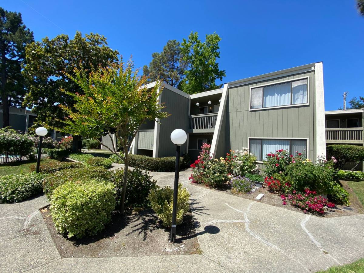 Apartment for rent at 1621 Alvarado Ave, Walnut Creek, CA 94597