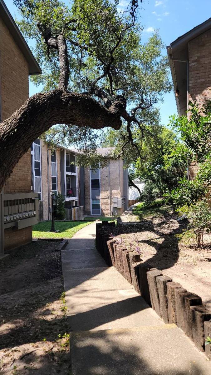 Apartment for rent at 7811 Chambers Rd, San Antonio, TX 78229