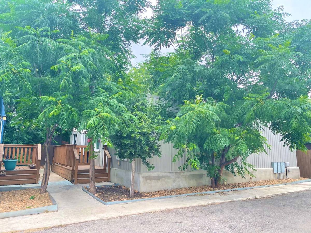 Apartment for rent at 1033 Rivas St #201, San Antonio, TX 78207