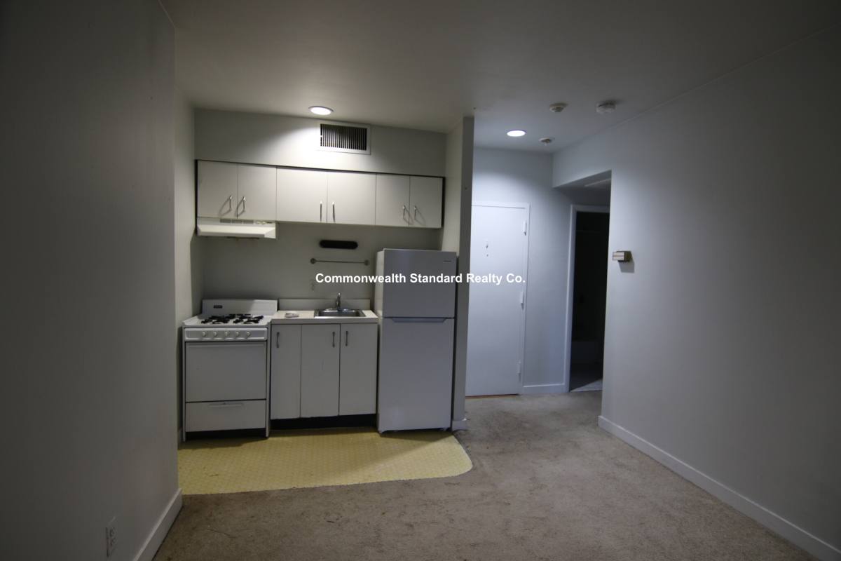 Apartment for rent at 546-548 Columbus Ave #7, Boston, MA 02118