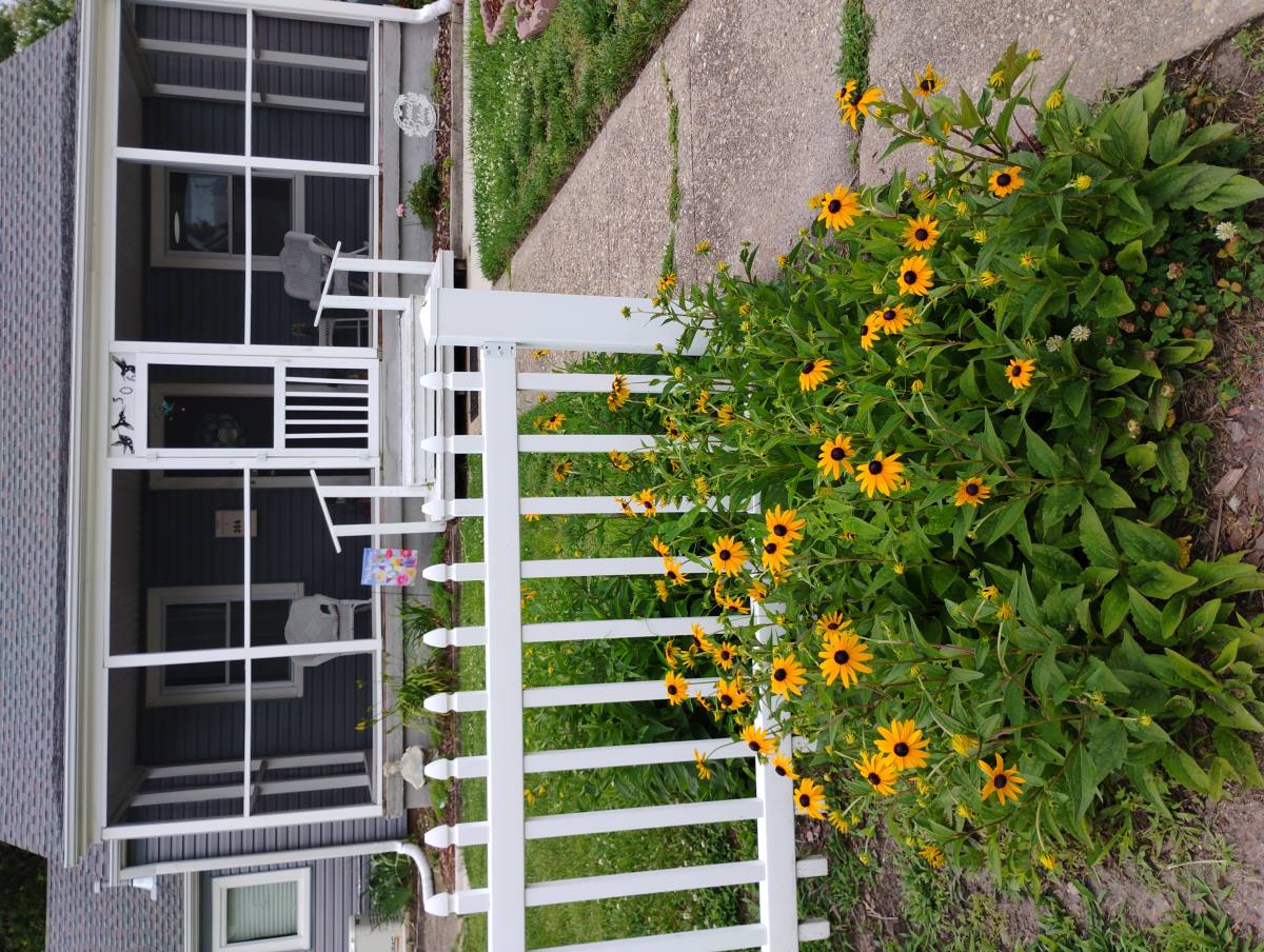 Apartment for rent at 306 Hammond St, Newport News, VA 23601