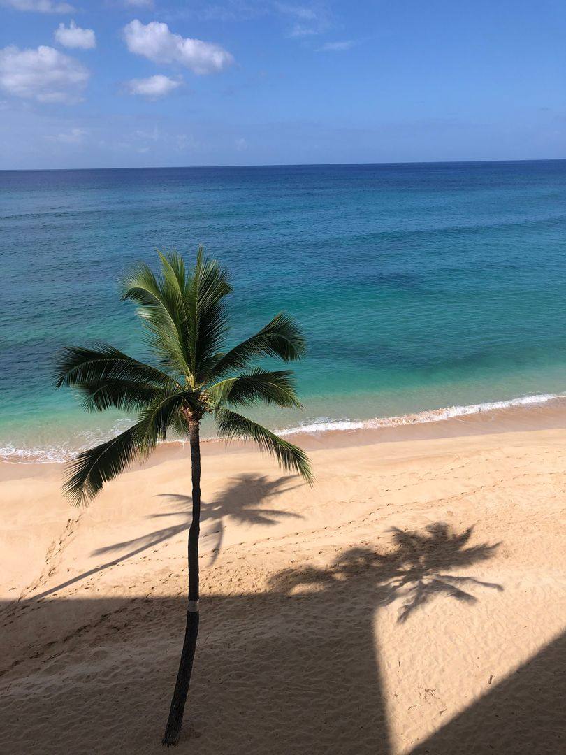 House for rent at 84-965 Farrington Highway A508, Waianae, HI 96792