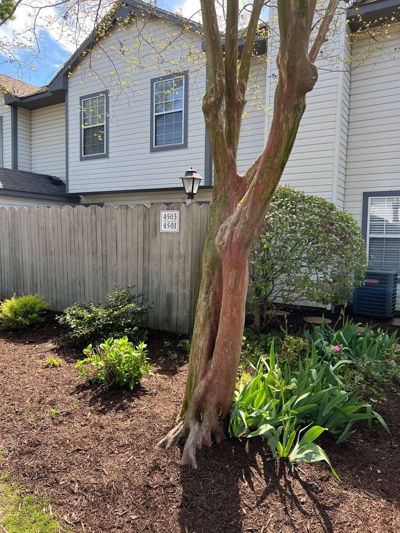 House for rent at 4501 Indies Court, Virginia Beach, VA 23452