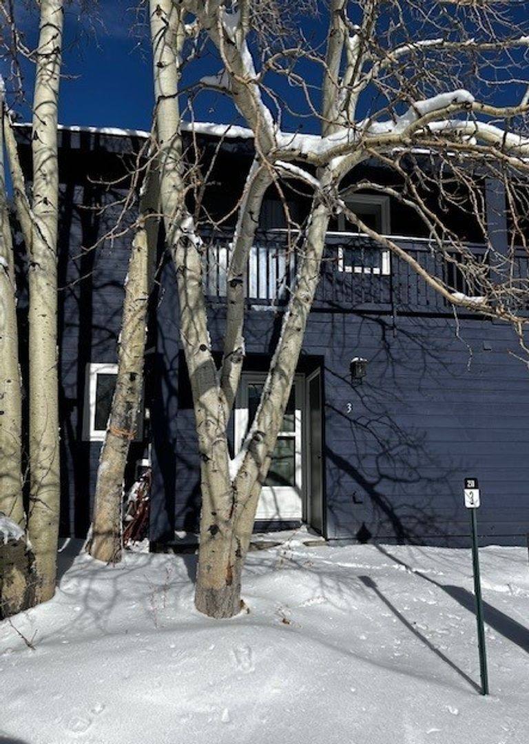 Townhouse for rent at 250 Cove Blvd, Dillon, CO 80435