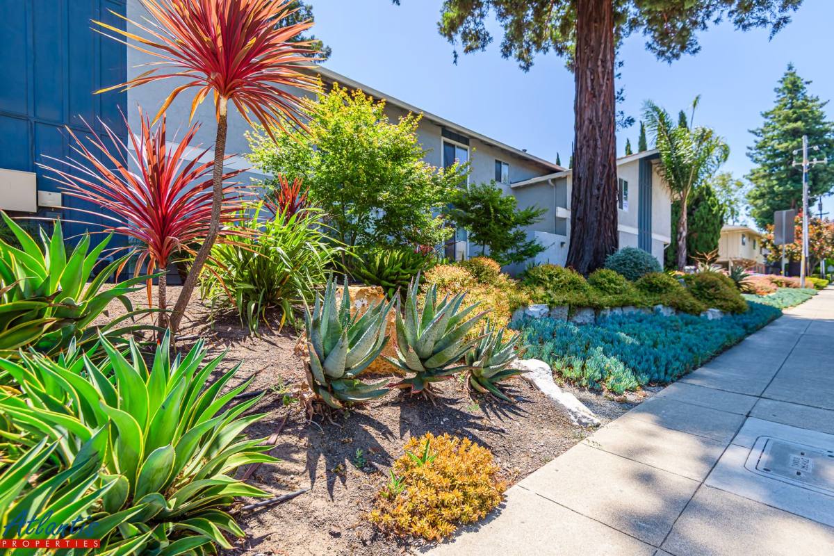 Condo for rent at 255 Easy St, Mountain View, CA 94043