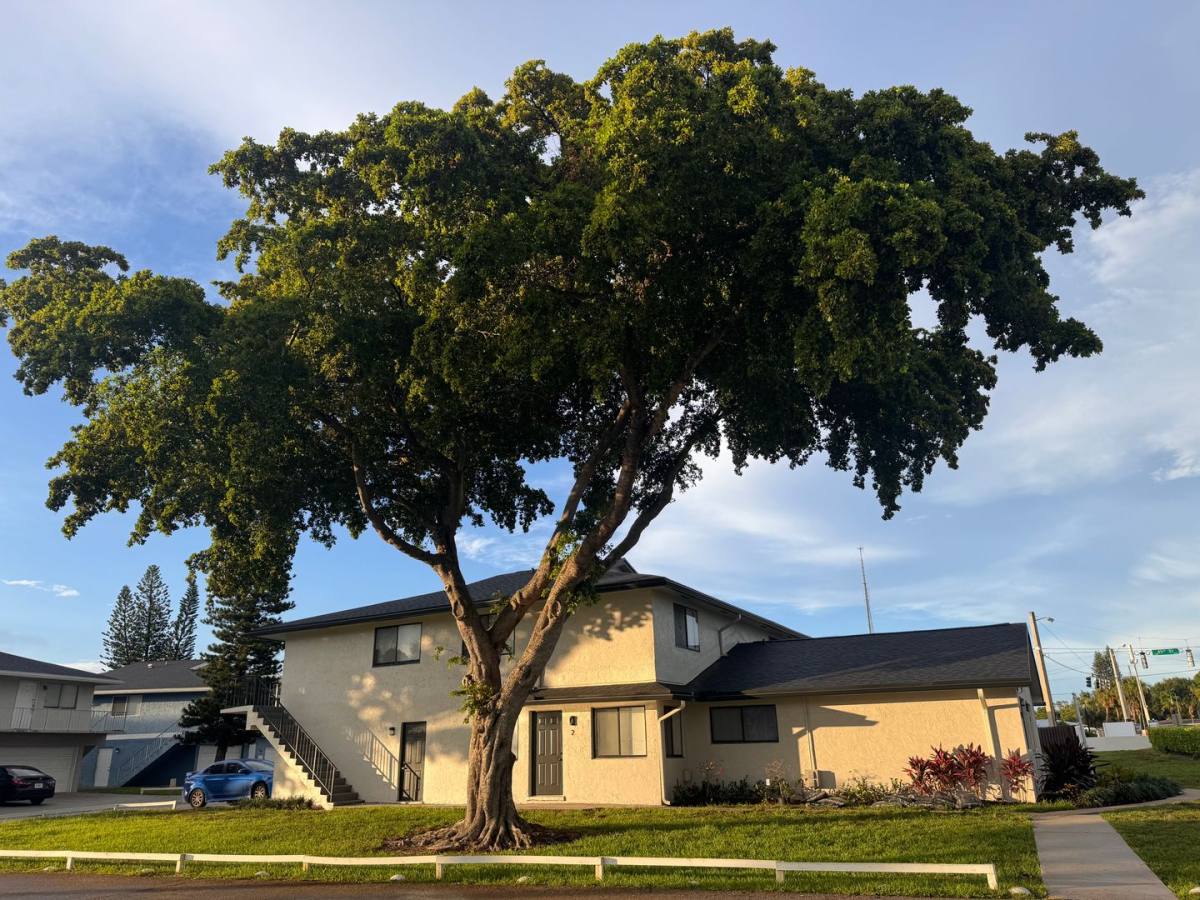 House for rent at 804 W Tiffany Dr, West Palm Beach, FL 33407