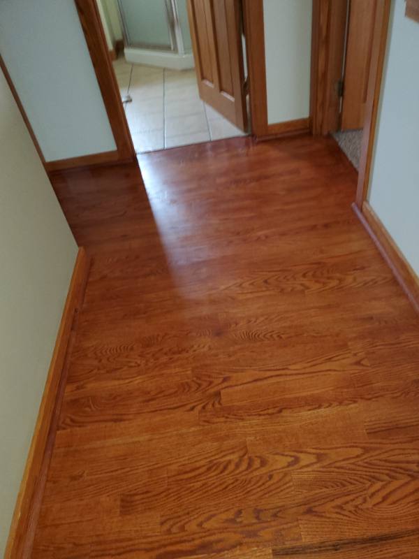 House for rent at 1006 Declark St, Beaver Dam, WI 53916