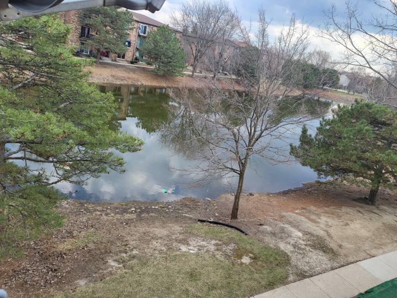 Apartment for rent at 1525 Norway Lane, Palatine, IL 60074