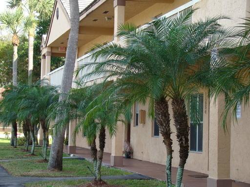 Townhouse for rent at 11562 NW 39th St, Coral Springs, FL 33065