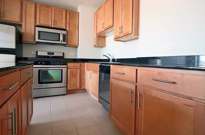 Apartment for rent at 353 N Clinton St, Chicago, IL 60661