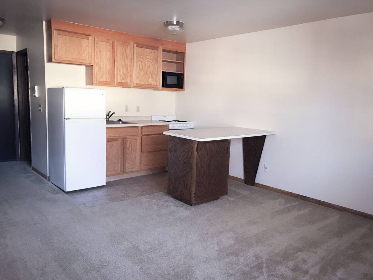 Apartment for rent at 102 N Franklin St, Madison, WI 53703
