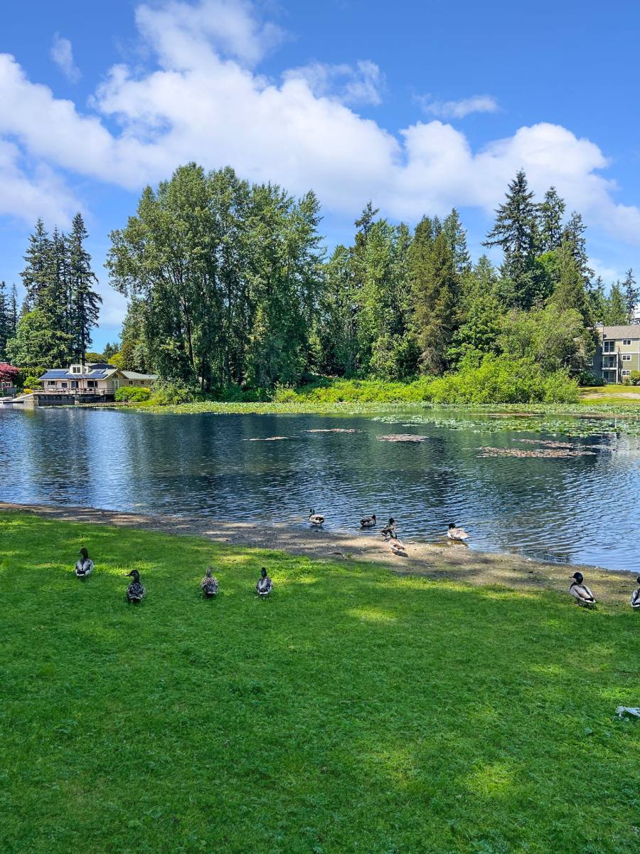 Apartment for rent at 747 75th St SE, Everett, WA 98203