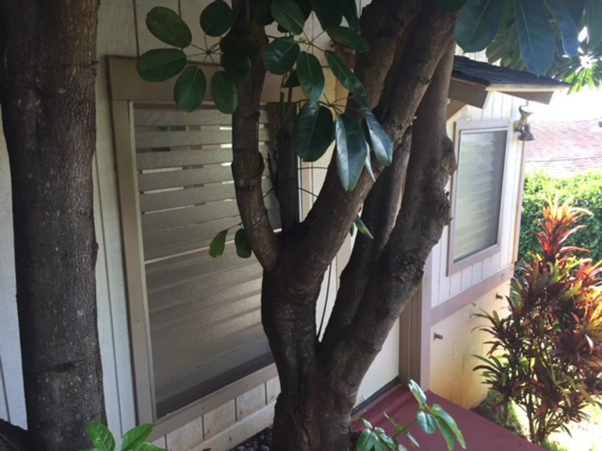 House for rent at 4137 Sierra Dr, Honolulu, HI 96816