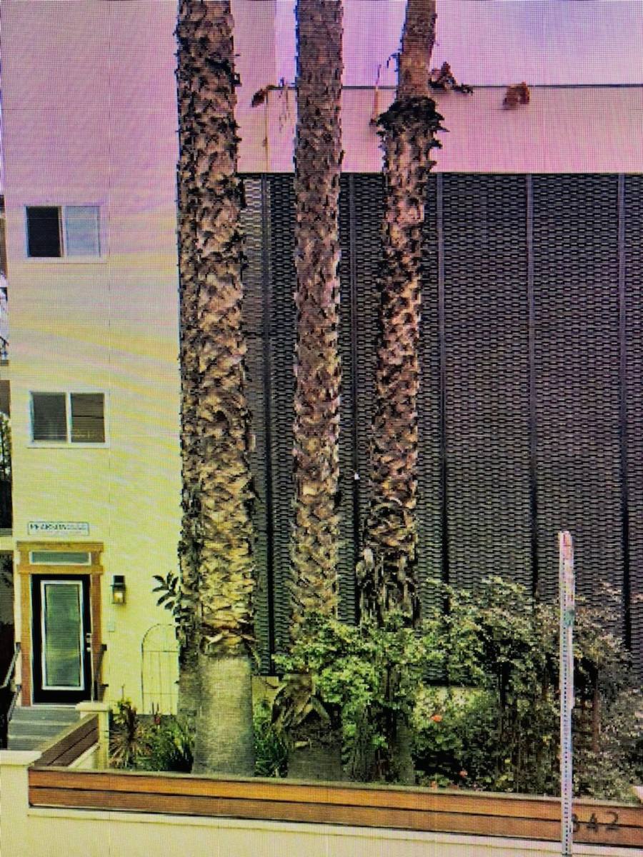 Apartment for rent at 842 Palm Ave, West Hollywood, CA 90069