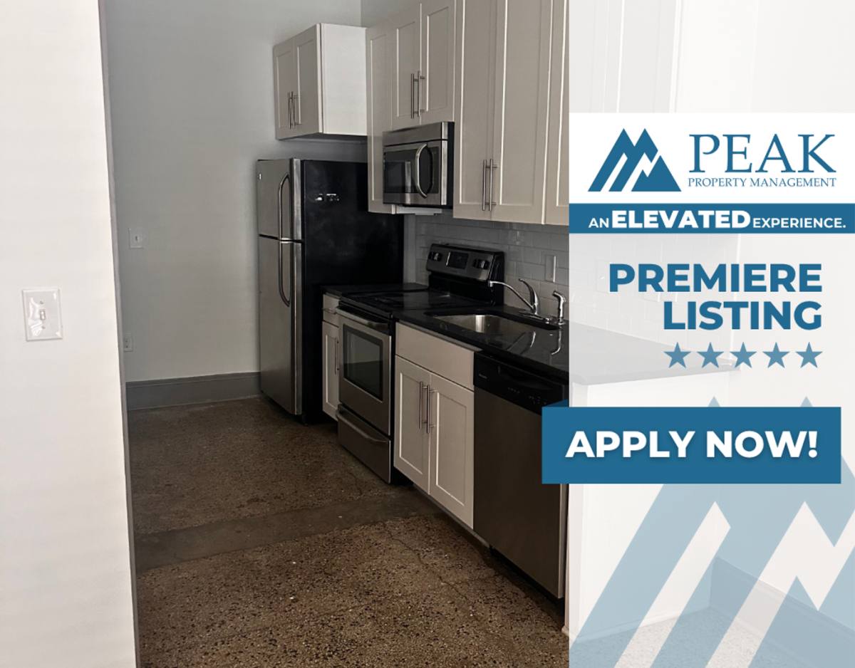 Apartment for rent at 116 N 3rd St, Richmond, VA 23219
