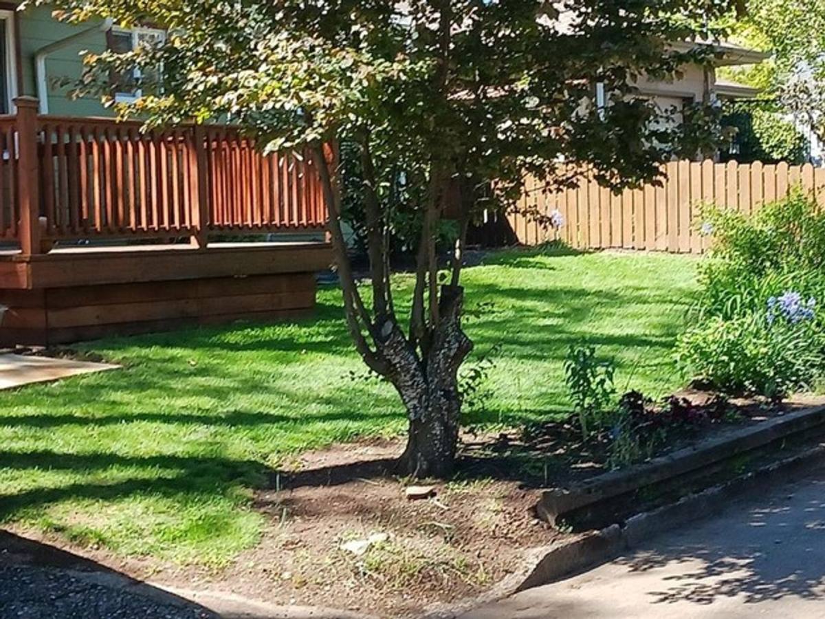 House for rent at 3235 Cooke St S, Salem, OR 97302