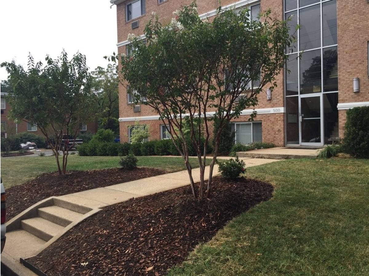 Apartment for rent at 500 S Wayne St, Arlington, VA 22204