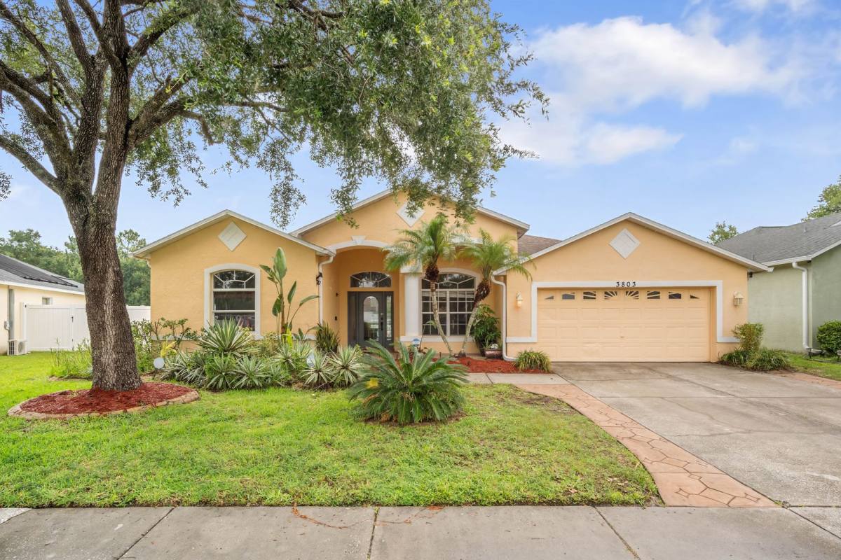 House for rent at 3803 Grand Forks Dr, Land O Lakes, FL 34639