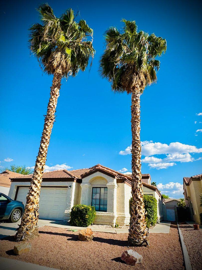 House for rent at 1966 Magnolia Dr, Henderson, NV 89014