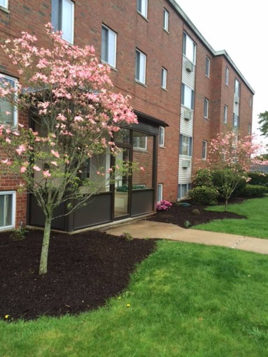 Apartment for rent at 45 Hawthorne St, Bristol, CT 06010