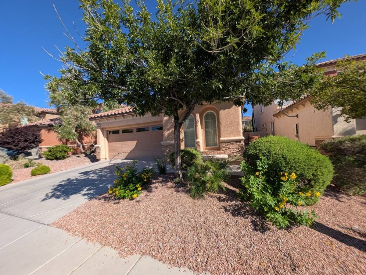 House for rent at 1045 Ambrosia Dr, Las Vegas, NV 89138