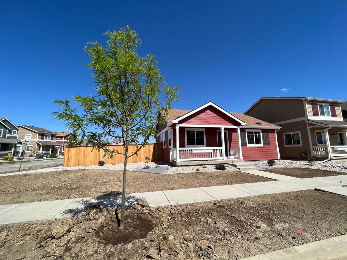 House for rent at 2698 Diamond Back Dr, Berthoud, CO 80513