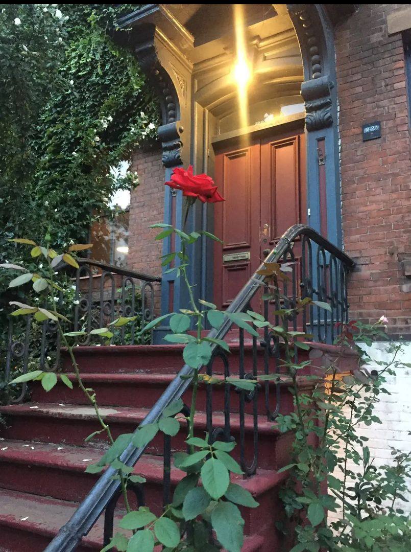 Apartment for rent at 17 Court St, New Haven, CT 06511