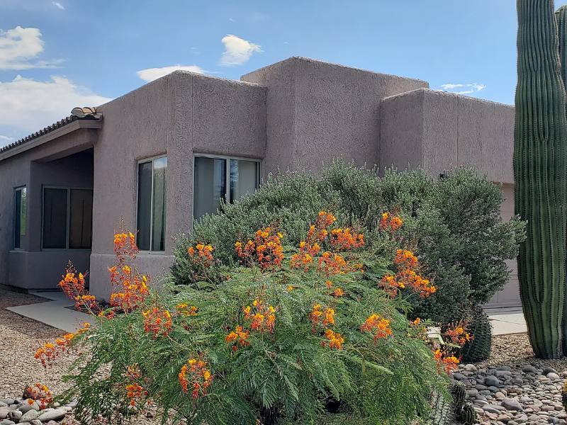 House for rent at 1853 W Waterleaf Dr, Tucson, AZ 85704