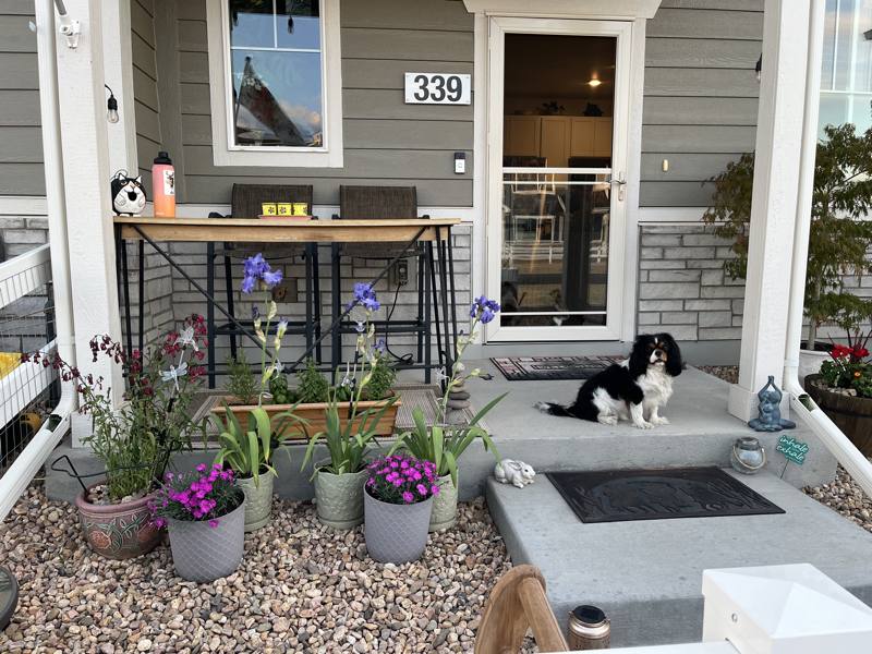 Townhouse for rent at 339 Condor Way, Johnstown, CO 80534