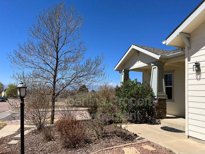 House for rent at 9914 Red Sage Dr, Colorado Springs, CO 80920