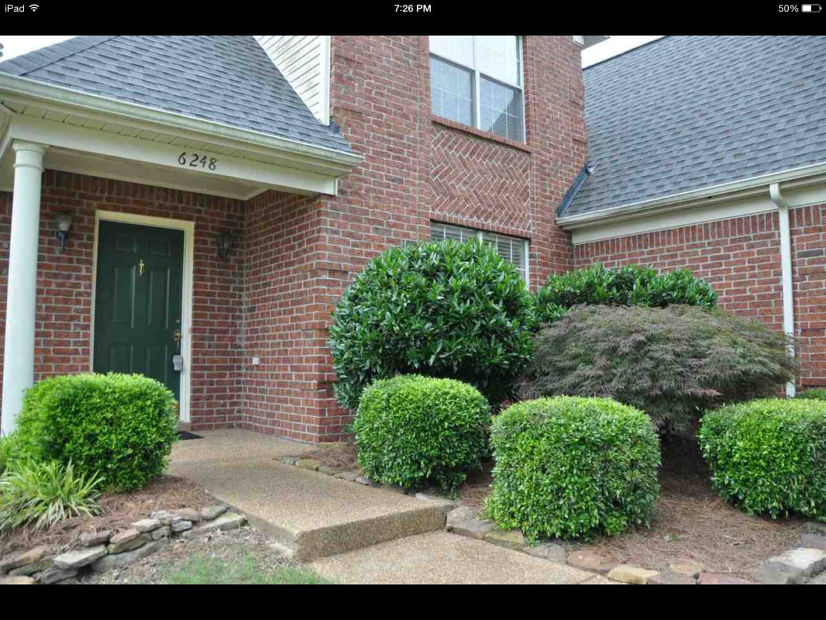 House for rent at 6248 Lake View Cove, Memphis, TN 38135