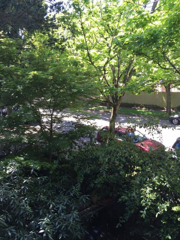 Condo for rent at 9010 SW Henderson Place, Seattle, WA 98106