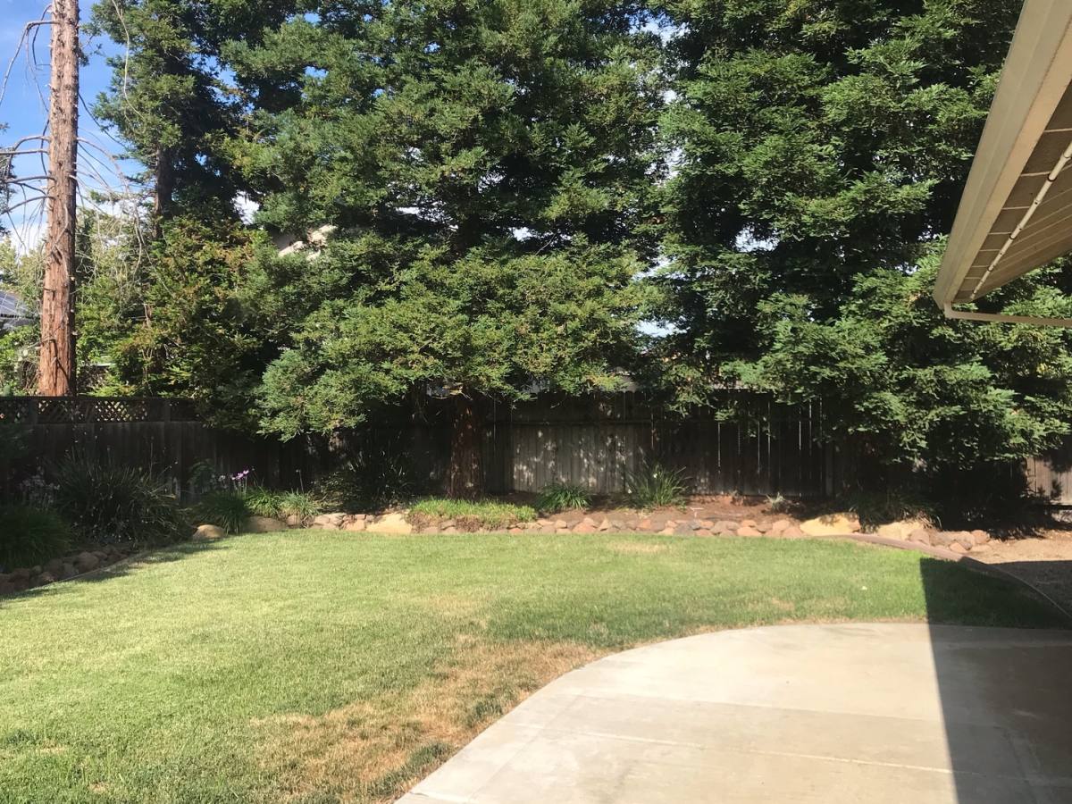 House for rent at 288 Wildberry Dr, Brentwood, CA 94513