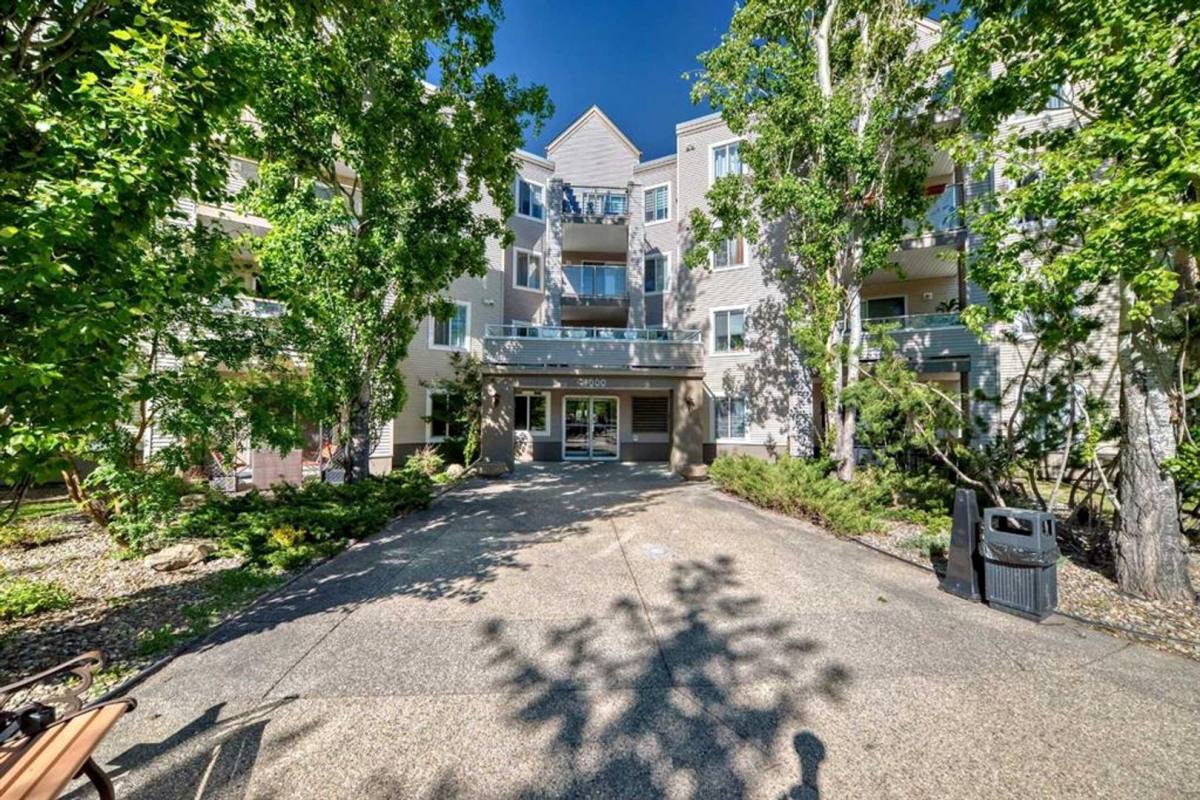 217 4000 Somervale Court SW Beverly Hills CA 90210 (#81793067)