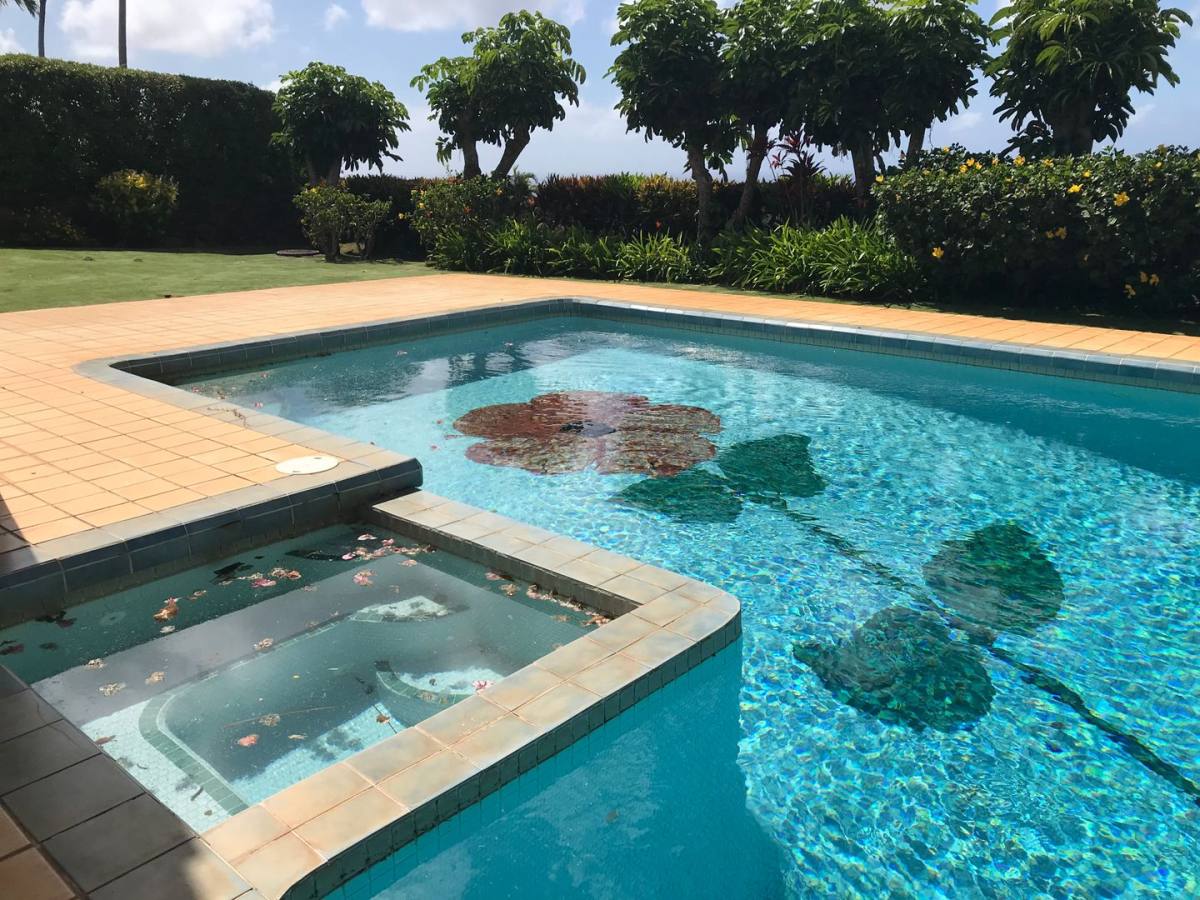 House for rent at 1864 Alaweo St, Honolulu, HI 96821