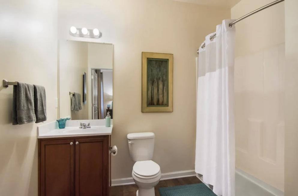 Apartment for rent at 100 Waterstone Park Circle, Hillsborough, NC 27278