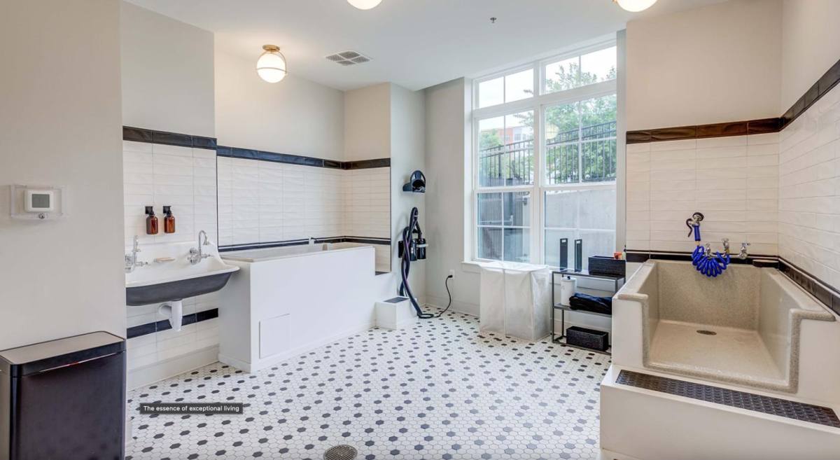 Apartment for rent at 1115 S Mint St, Charlotte, NC 28203