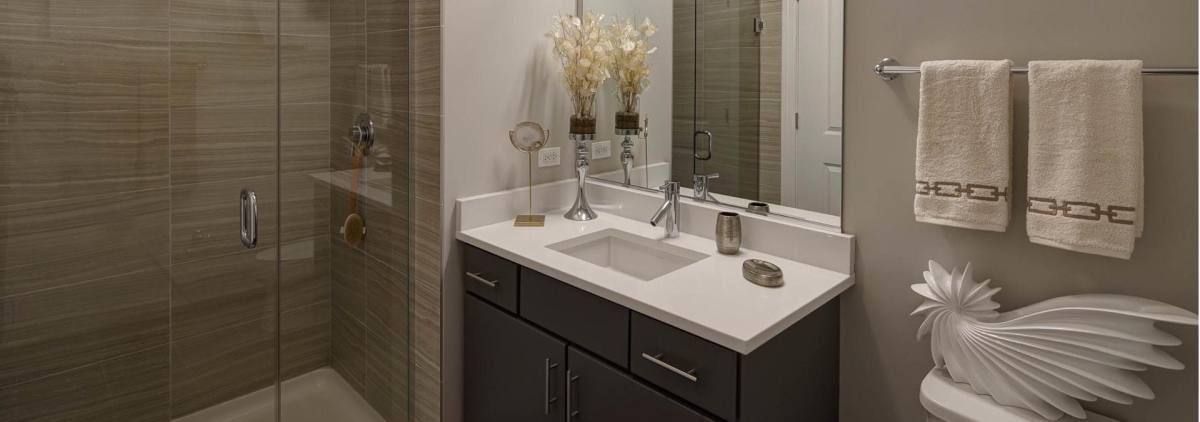 Apartment for rent at The Oaks of Dearborn Park, 850 S Clark St, Chicago, IL 60605