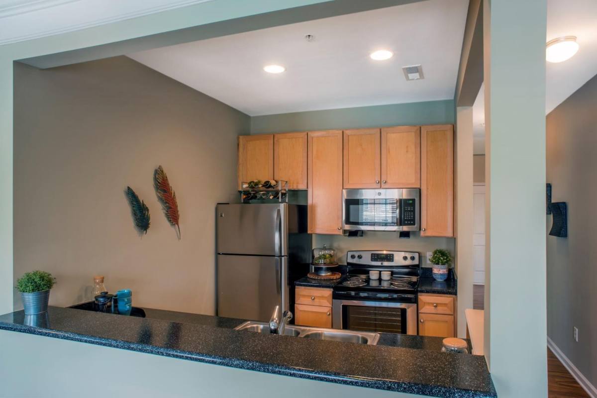 Apartment for rent at Worthington Shoppes & Luxury, 1526 Flat River Dr, Charlotte, NC 28262